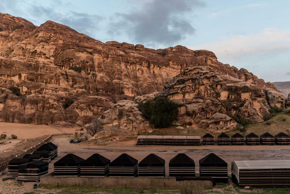 營地 Ammarin Bedouin Camp Wadi Musa